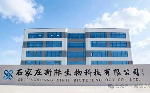 Shijiazhuang Xinji Technology Co., Ltd.