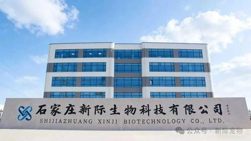 Shijiazhuang Xinji Technology Co., Ltd.
