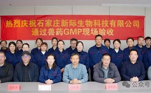 Good News | Shijiazhuang Xinji Technology Co., Ltd&nbsp;Officially Passes the Latest Veterinary GMP Acceptance