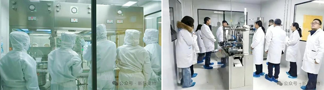 Good News | Shijiazhuang Xinji Technology Co., Ltd Officially Passes the Latest Veterinary GMP Acceptance